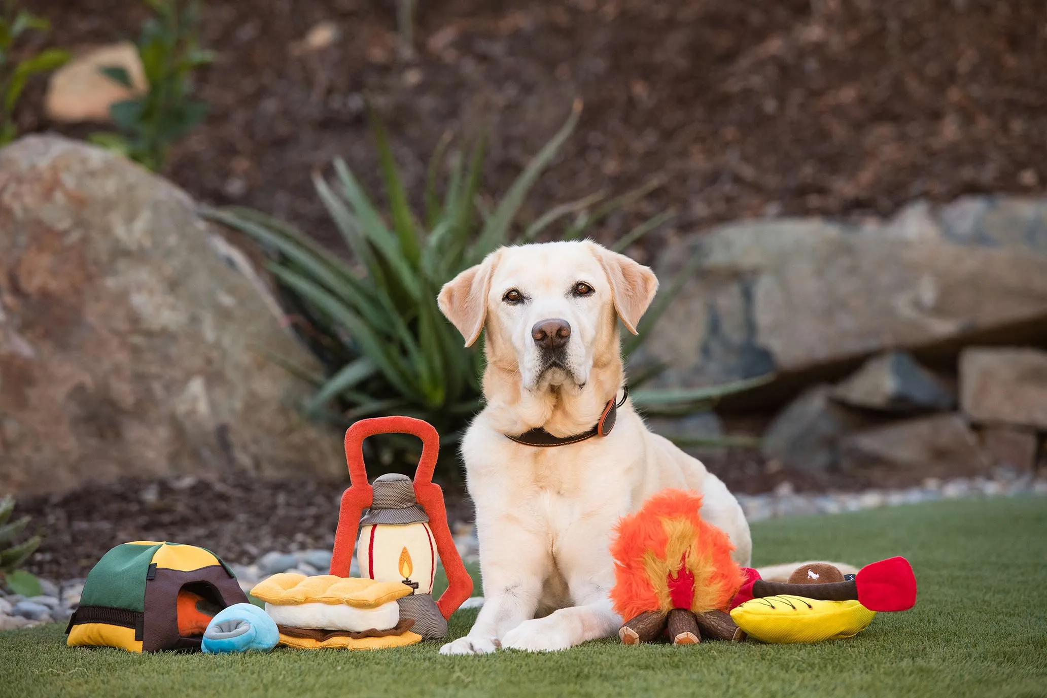 Camp Corbin Squeaky Plush Dog toys, Pack Leader Lantern