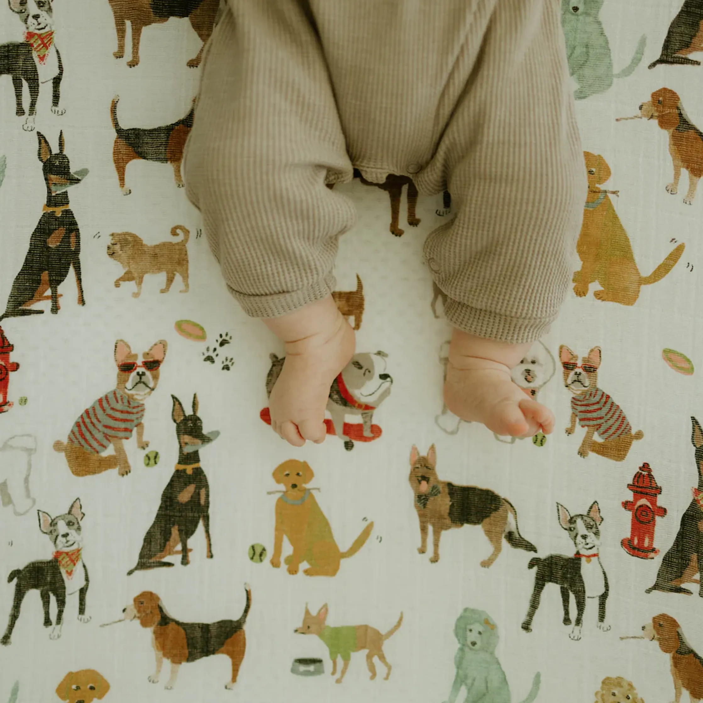 Cotton Muslin Crib Sheet - Woof