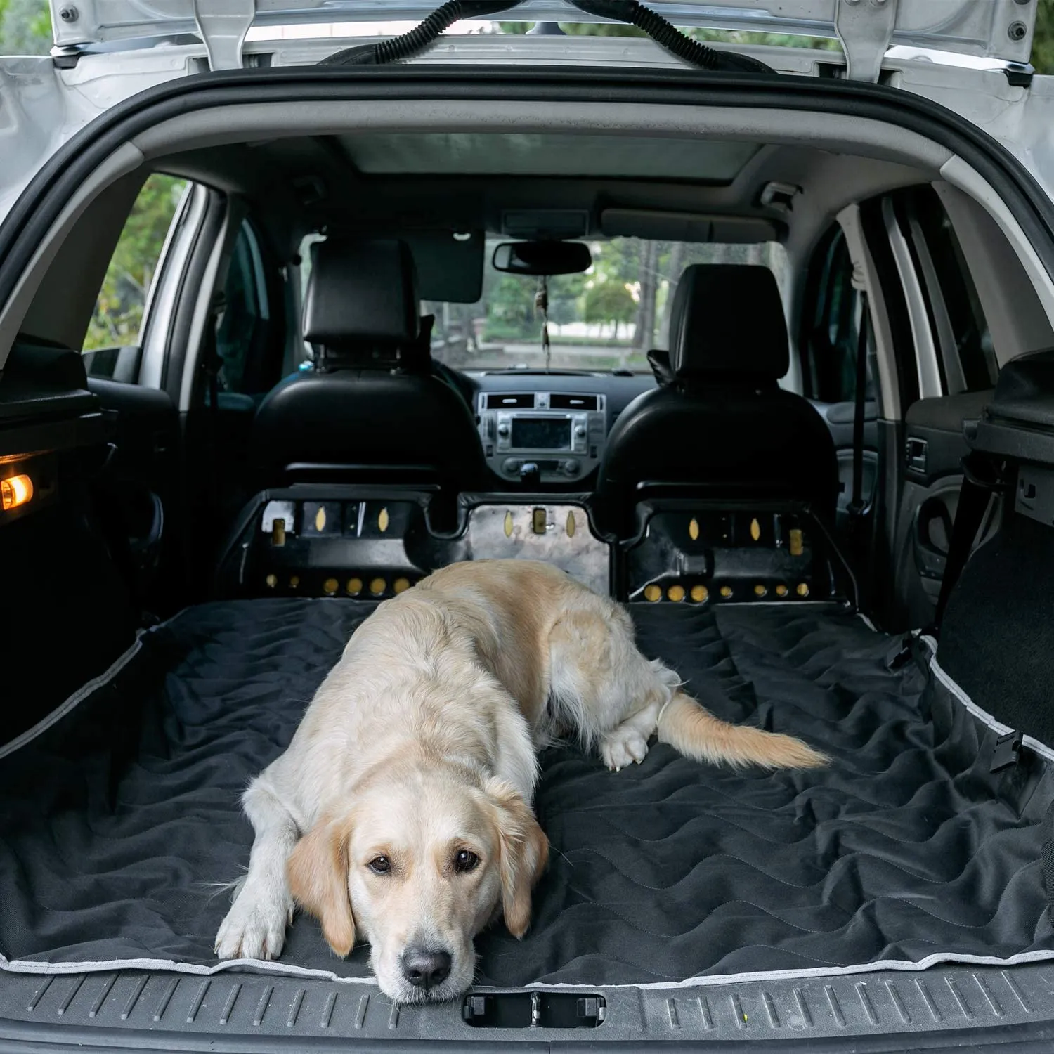 Dog Car Seat Covers for Back Seat