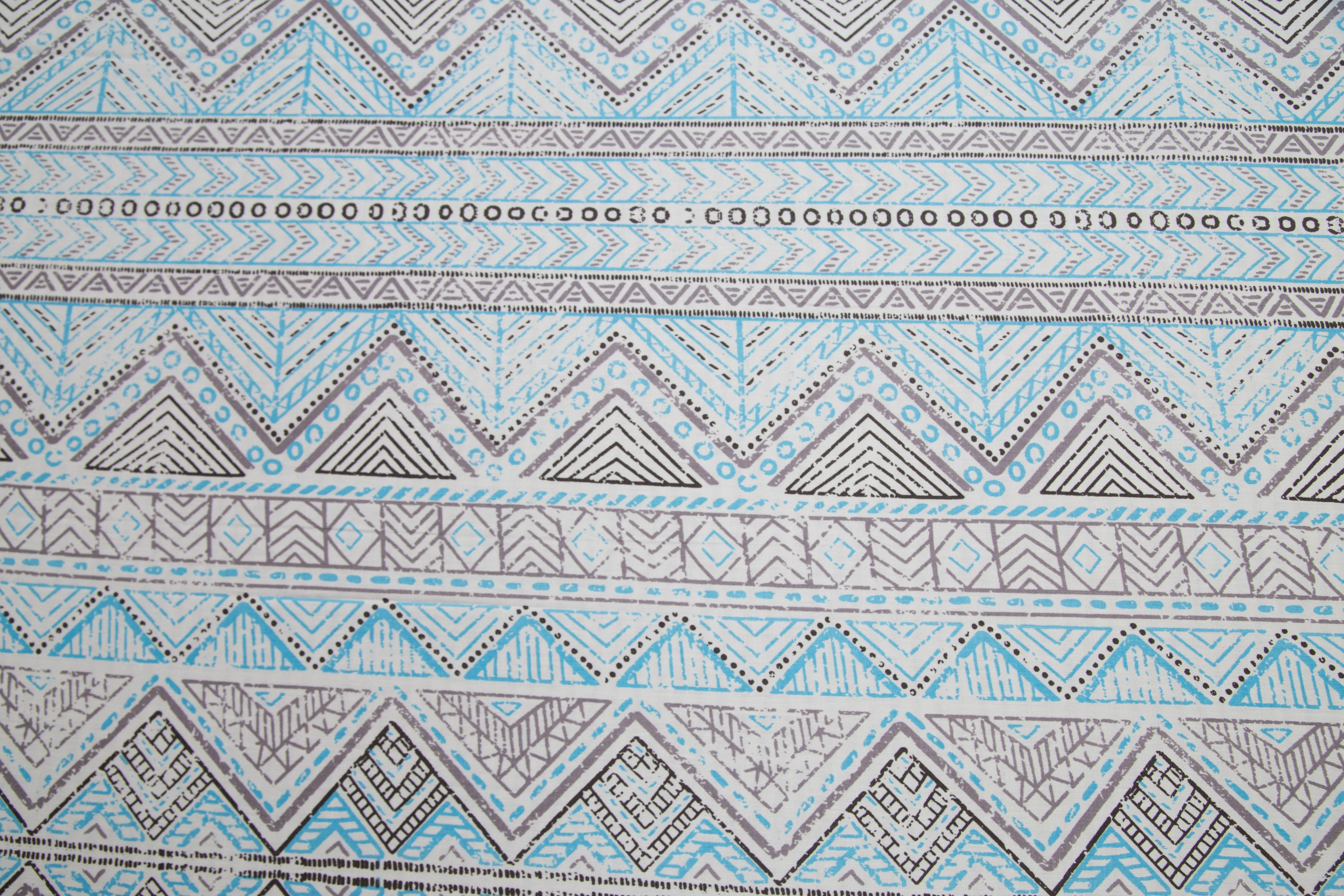 Donatella Austin Printed 200 TC 100% Cotton Blue Bed Sheet