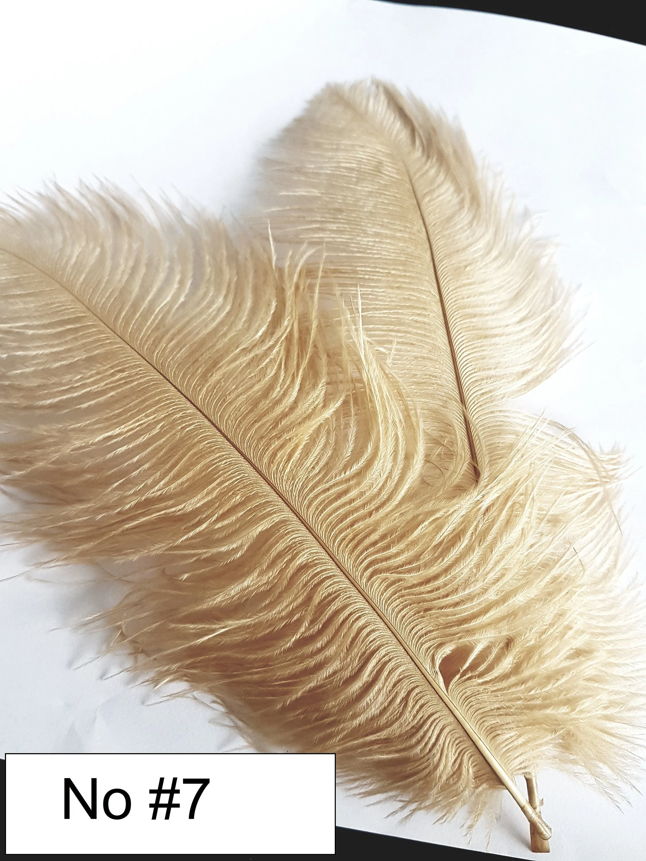 Ostrich Feather Fan bouquet with Genuine crystal detail-  alternative  Bouquet  Great Gatsby wedding style, Artificial wedding bouquet