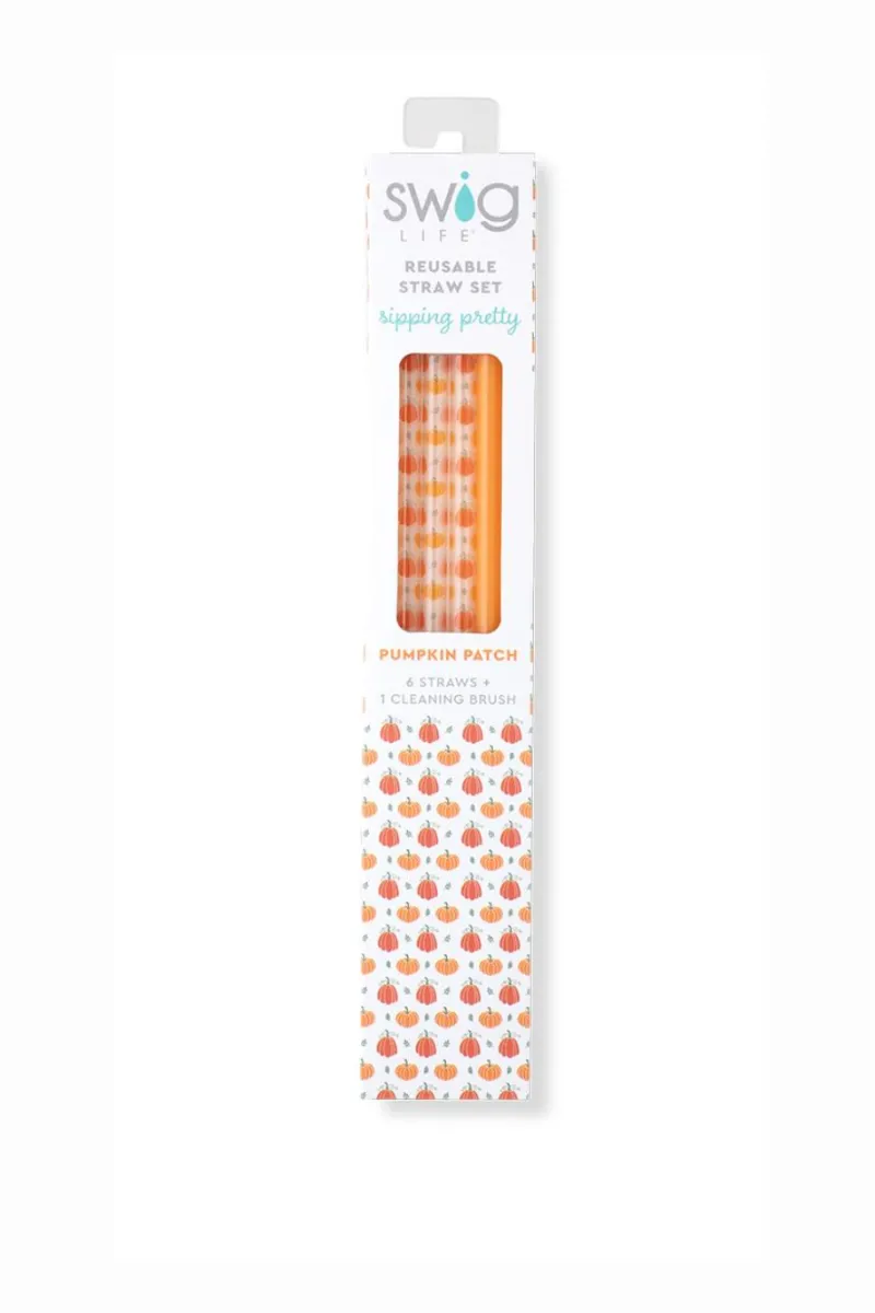 Swig Pumpkins   Orange Reusable Straw Set